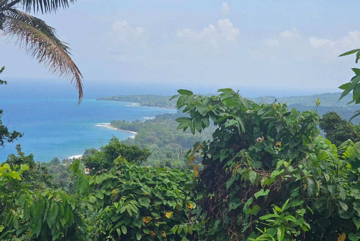 Eleventh image of 134 Kildare Portland in Buff Bay, Portland, Jamaica - property is For Sale