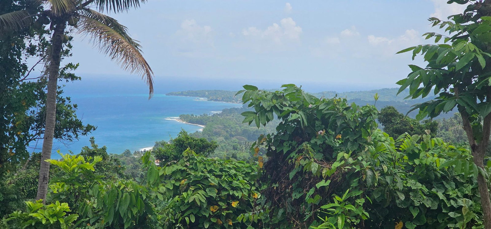 Eleventh image of 134 Kildare Portland in Buff Bay, Portland, Jamaica - property is For Sale