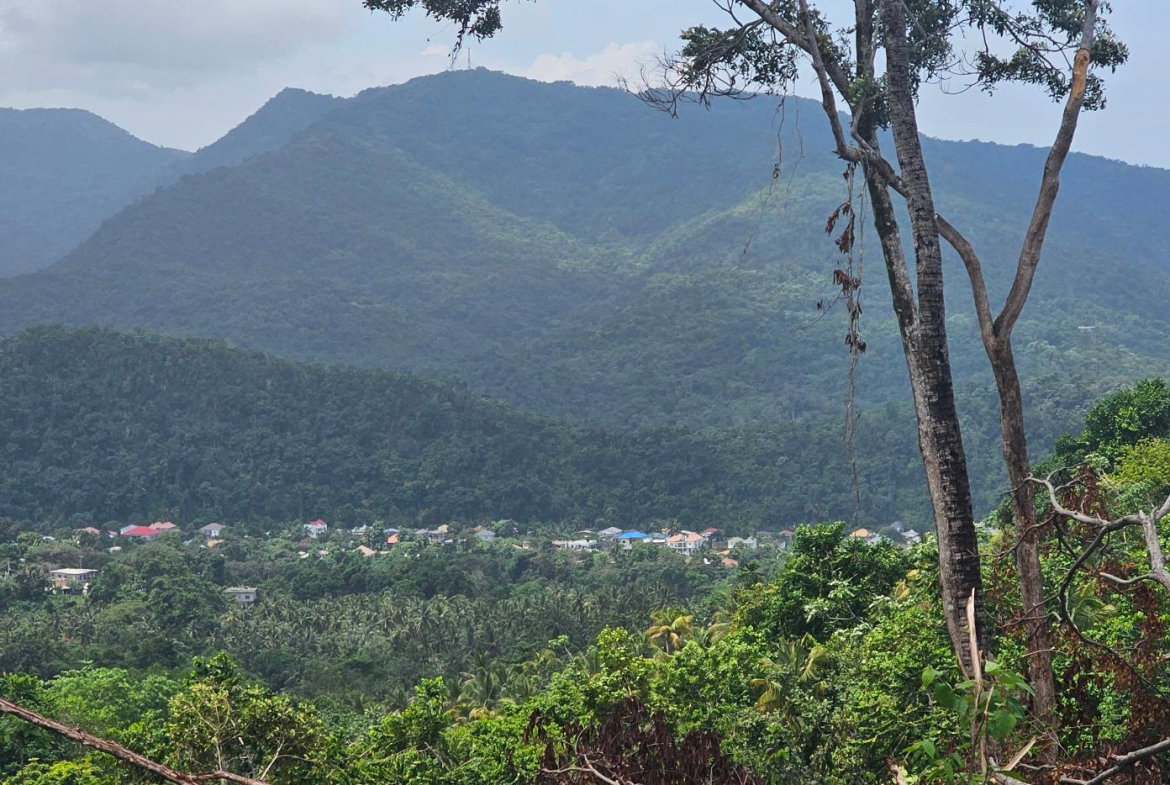 Twelfth image of 134 Kildare Portland in Buff Bay, Portland, Jamaica - property is For Sale