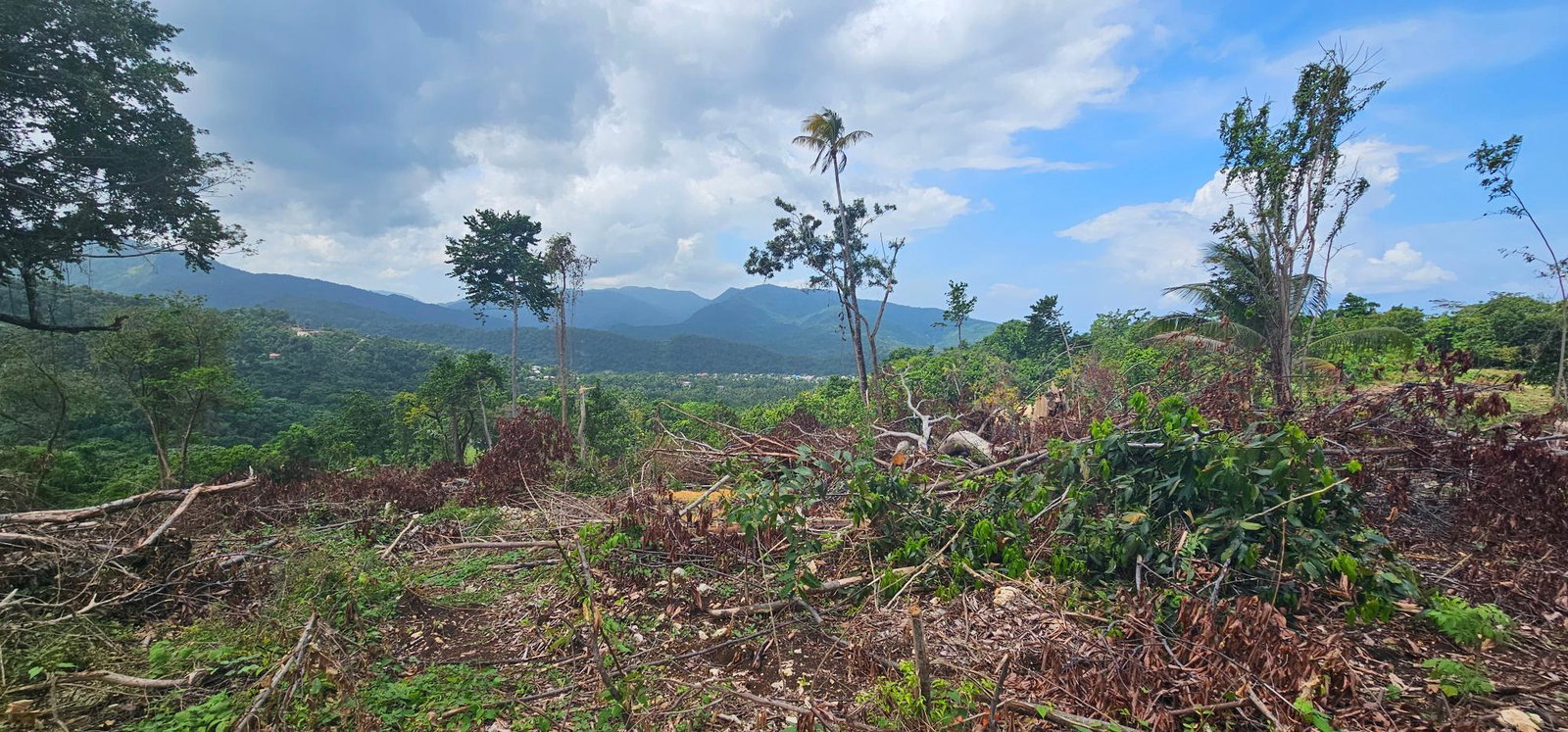 Thirteenth image of 134 Kildare Portland in Buff Bay, Portland, Jamaica - property is For Sale