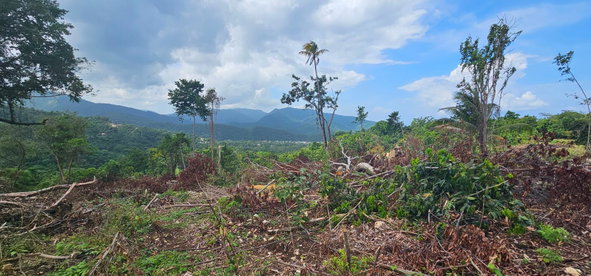 Thirteenth image of 134 Kildare Portland in Buff Bay, Portland, Jamaica - property is For Sale