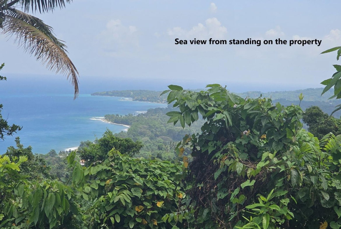 Third image of 134 Kildare Portland in Buff Bay, Portland, Jamaica - property is For Sale