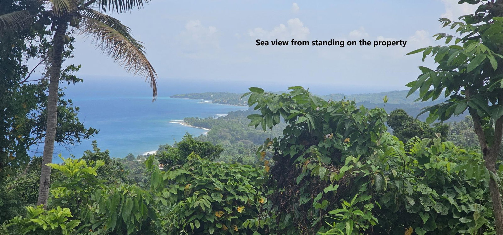 Third image of 134 Kildare Portland in Buff Bay, Portland, Jamaica - property is For Sale