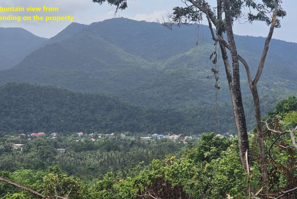 Fourth image of 134 Kildare Portland in Buff Bay, Portland, Jamaica - property is For Sale