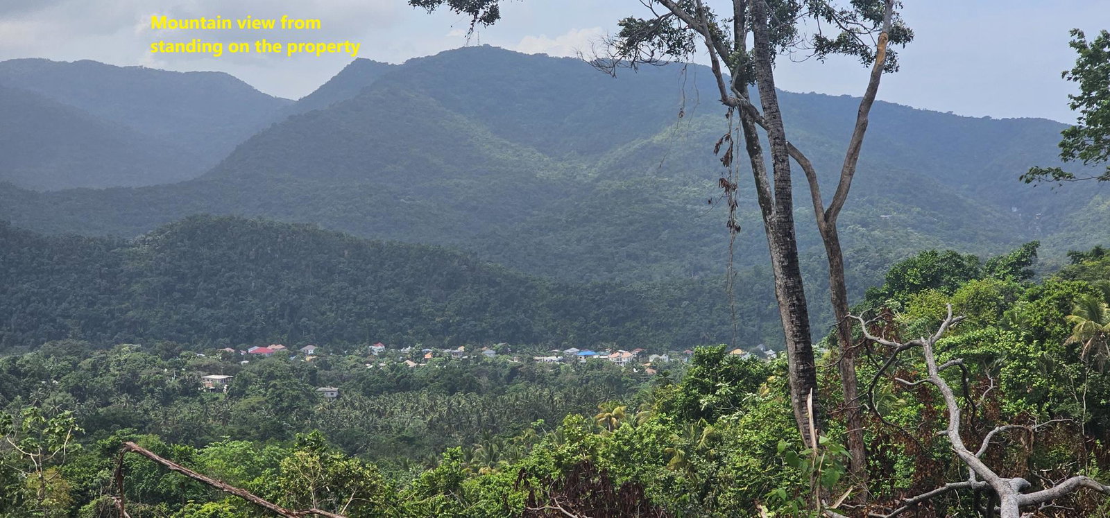 Fourth image of 134 Kildare Portland in Buff Bay, Portland, Jamaica - property is For Sale