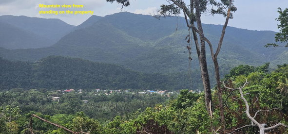 Fourth image of 134 Kildare Portland in Buff Bay, Portland, Jamaica - property is For Sale