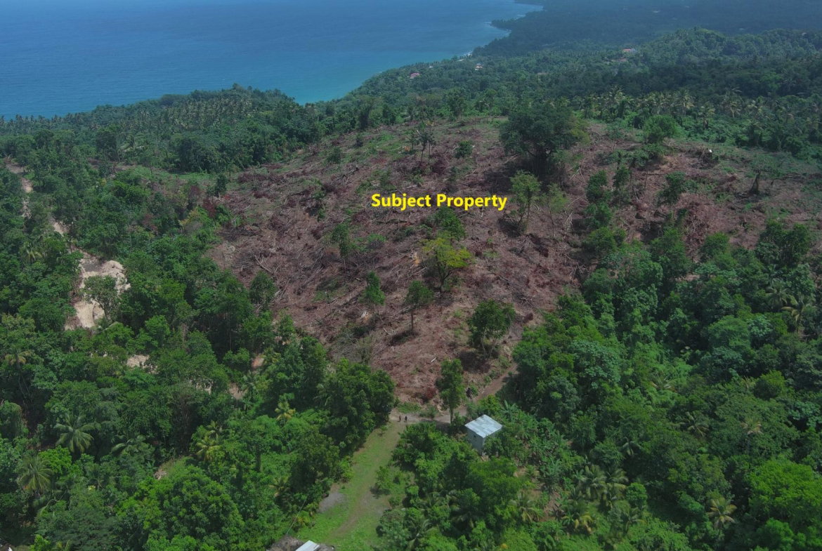 Fifth image of 134 Kildare Portland in Buff Bay, Portland, Jamaica - property is For Sale