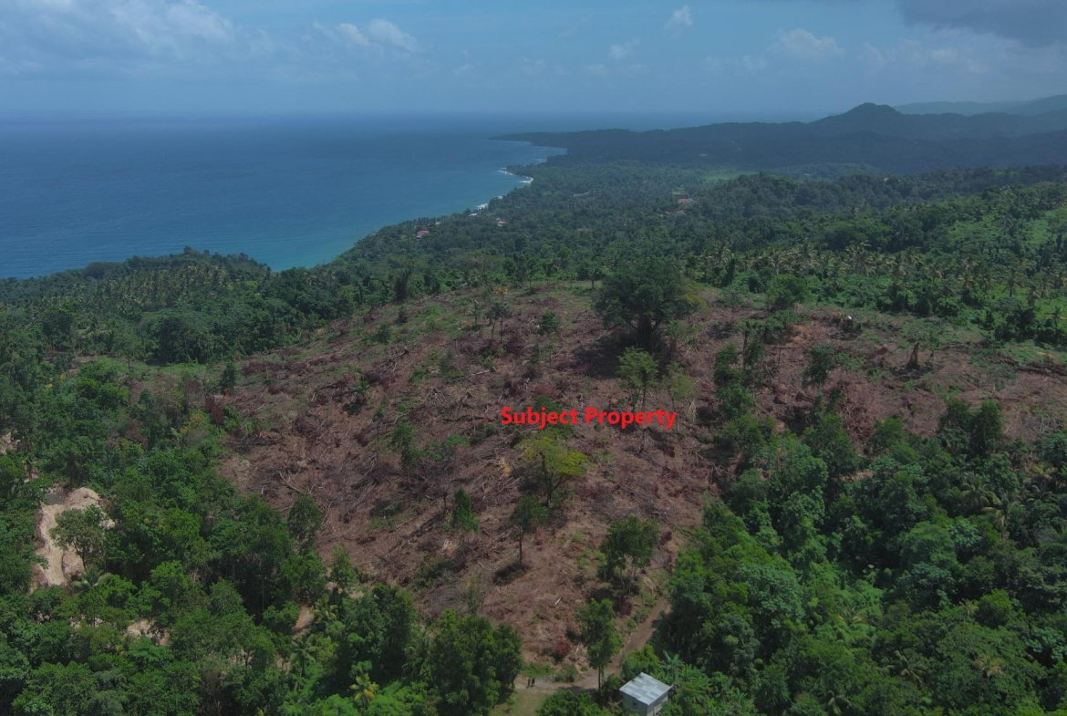 Seventh image of 134 Kildare Portland in Buff Bay, Portland, Jamaica - property is For Sale