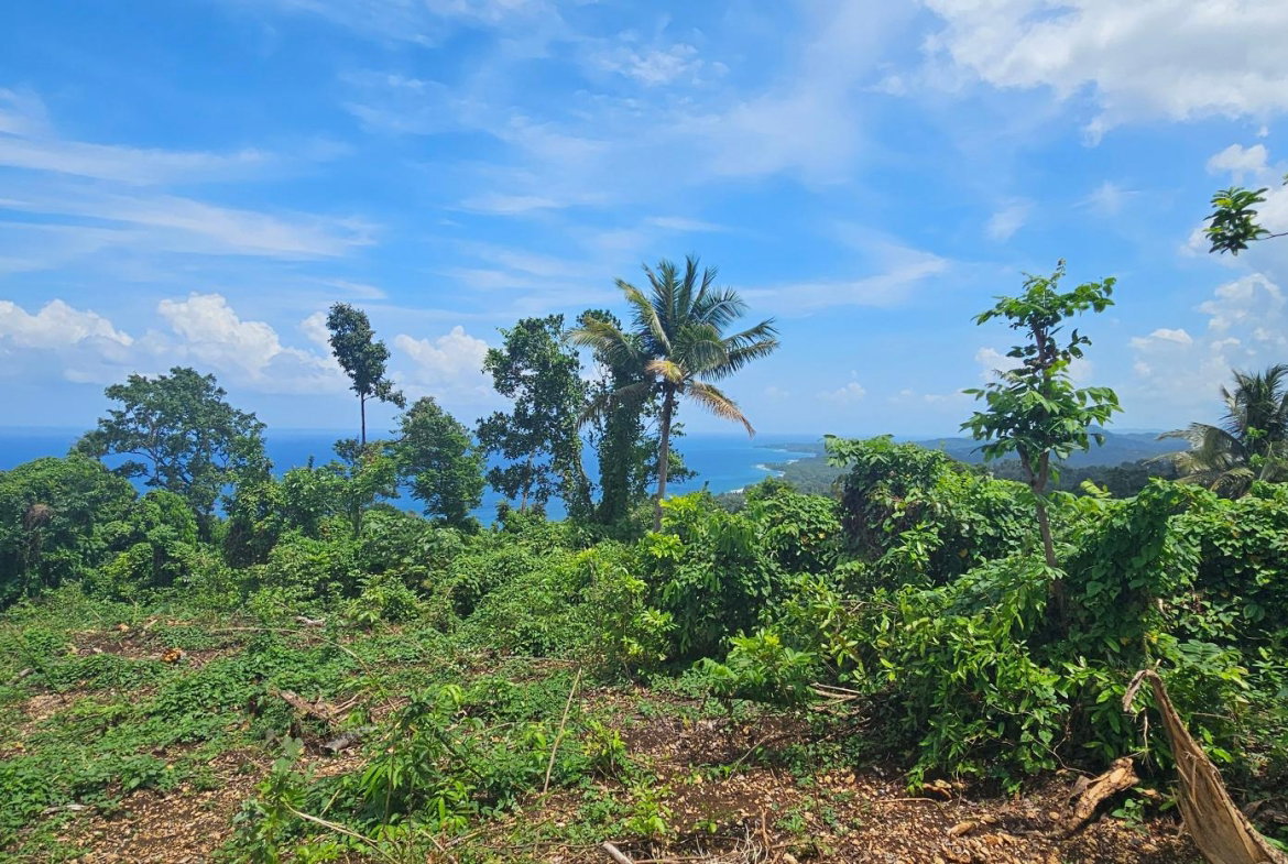 Eighth image of 134 Kildare Portland in Buff Bay, Portland, Jamaica - property is For Sale