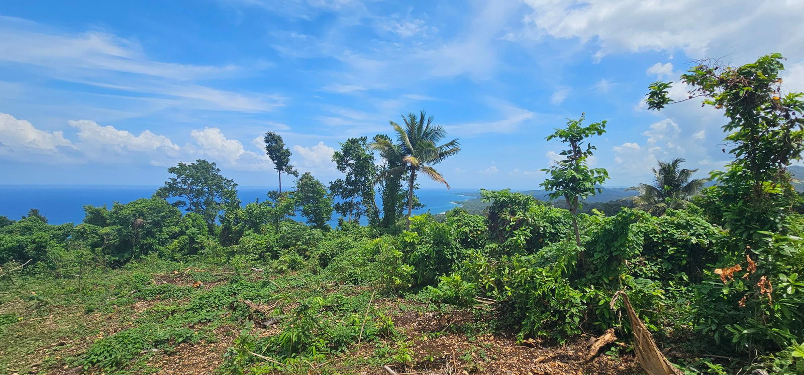 Eighth image of 134 Kildare Portland in Buff Bay, Portland, Jamaica - property is For Sale
