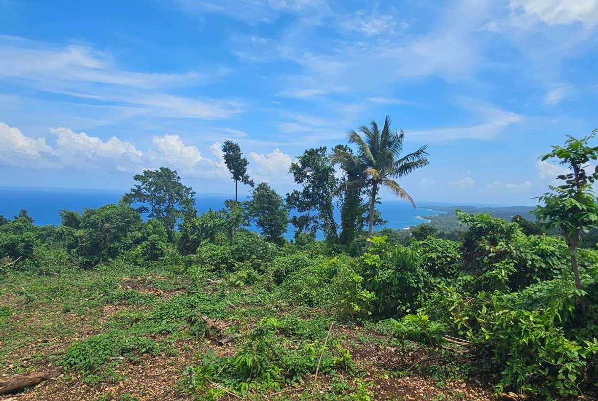 Ninth image of 134 Kildare Portland in Buff Bay, Portland, Jamaica - property is For Sale