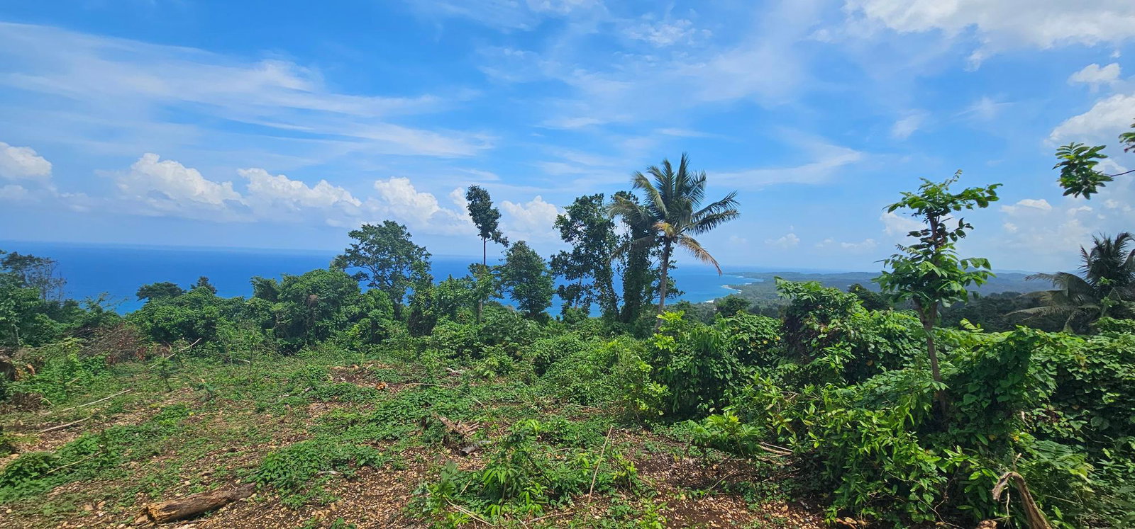 Ninth image of 134 Kildare Portland in Buff Bay, Portland, Jamaica - property is For Sale