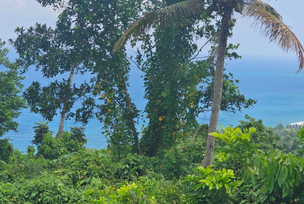 Tenth image of 134 Kildare Portland in Buff Bay, Portland, Jamaica - property is For Sale