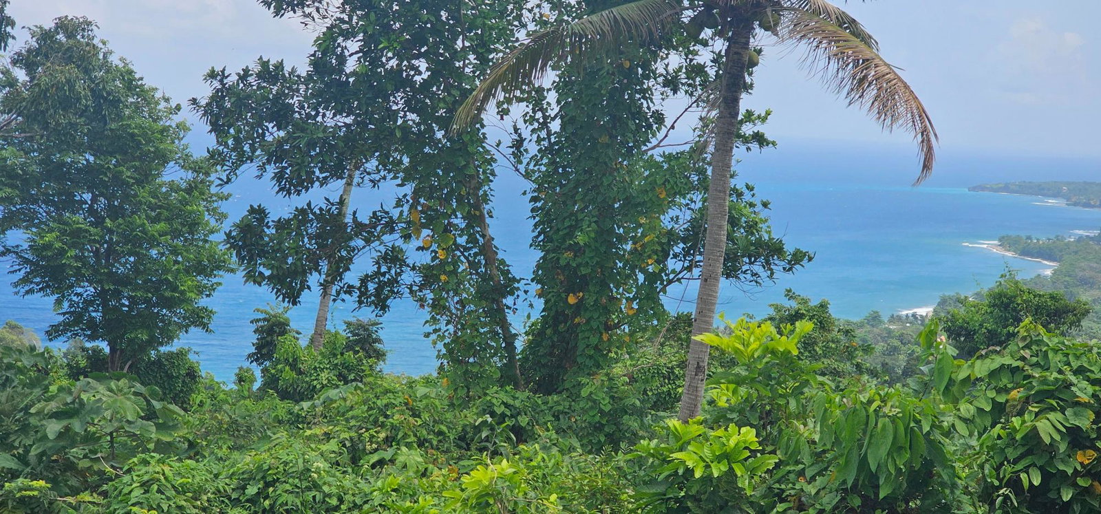 Tenth image of 134 Kildare Portland in Buff Bay, Portland, Jamaica - property is For Sale