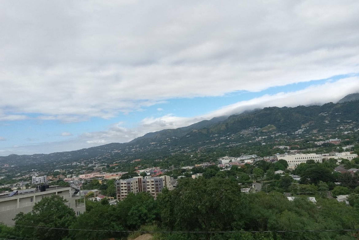 Twenty-Seventh image of 11 Wellington Heights in Kingston 6, St. Andrew, Jamaica - property is For Sale