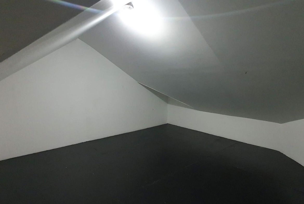 Twenty-Ninth image of 25 Liguanea Avenue in Kingston 6, St. Andrew, Jamaica - property is For Sale