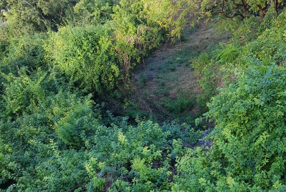 Fourth image of Lot4 Palmers Close Belgrade in Kingston 19, St. Andrew, Jamaica - property is For Sale