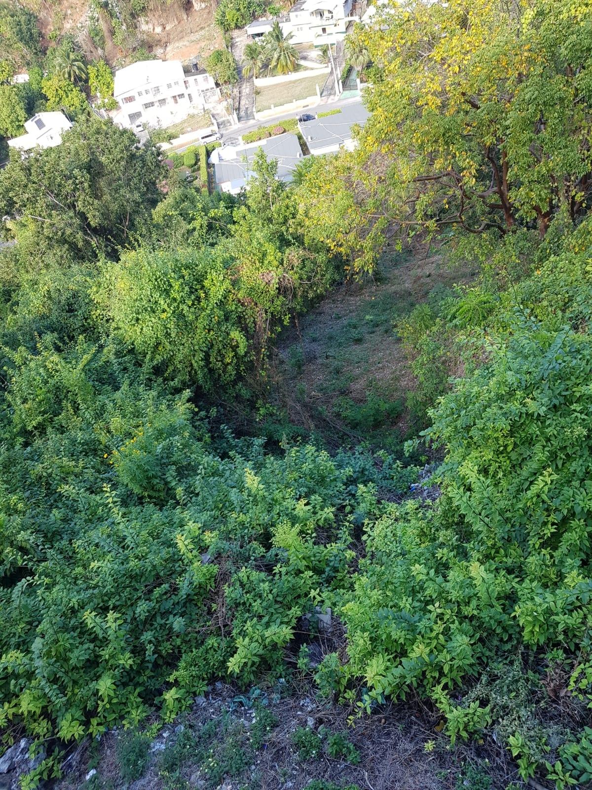 Stunning-Residential-Lot-for-Sale-in-St.-Andrew-Jamaica-J15-Million Fourth image of Lot4 Palmers Close Belgrade in Kingston 19, St. Andrew, Jamaica - property is For Sale