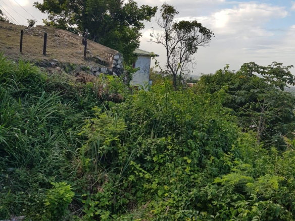 First image of Lot4 Palmers Close Belgrade in Kingston 19, St. Andrew, Jamaica - property is For Sale