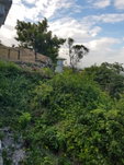 First image of Lot4 Palmers Close Belgrade in Kingston 19, St. Andrew, Jamaica - property is For Sale