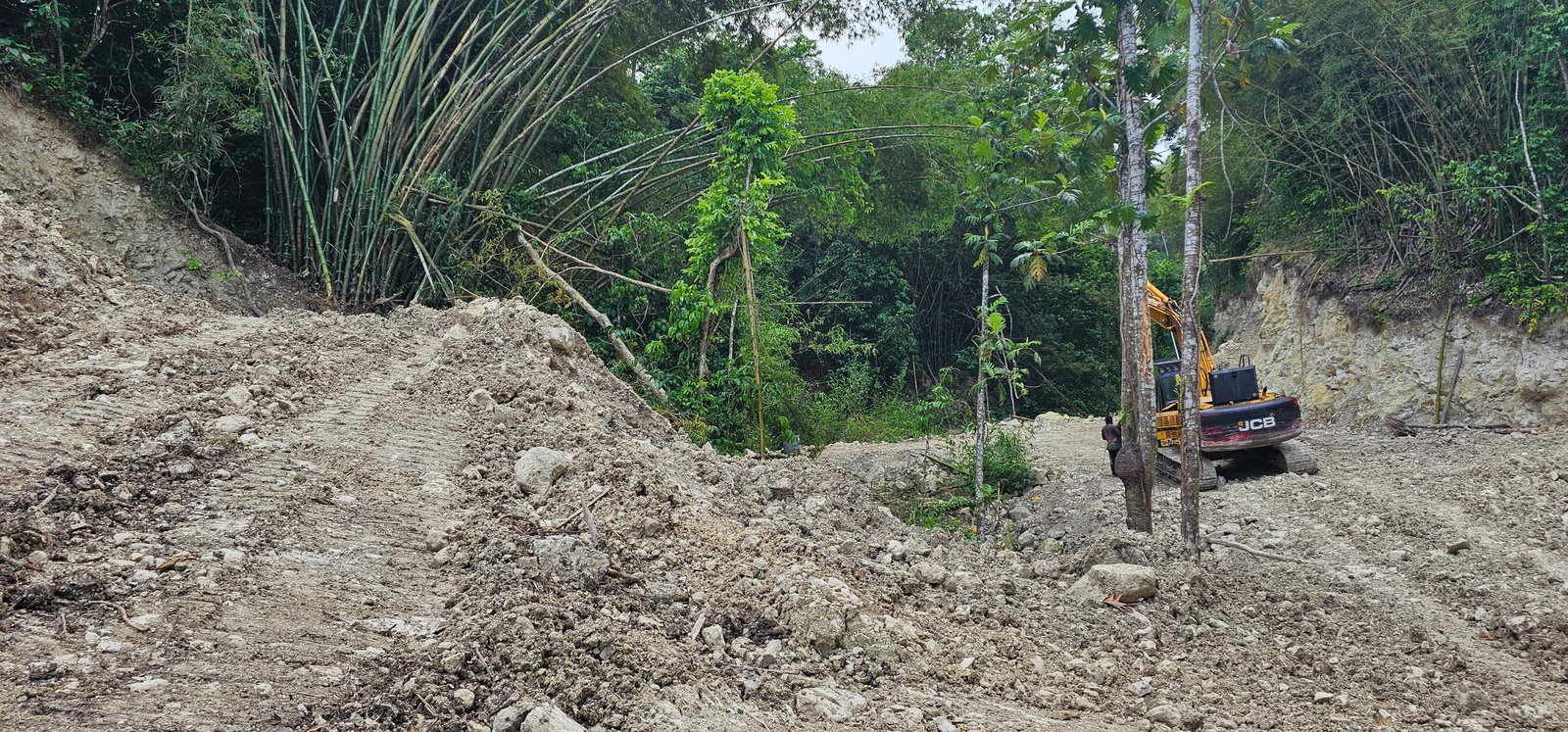 Thirteenth image of 95 Kildare Portland in Buff Bay, Portland, Jamaica - property is For Sale