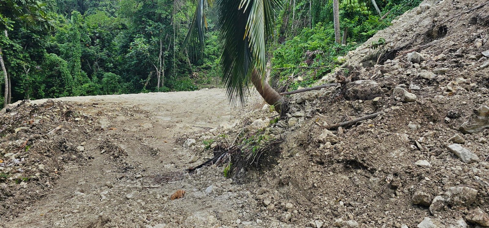 Fourteenth image of 95 Kildare Portland in Buff Bay, Portland, Jamaica - property is For Sale