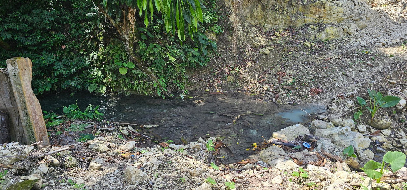 Third image of 95 Kildare Portland in Buff Bay, Portland, Jamaica - property is For Sale