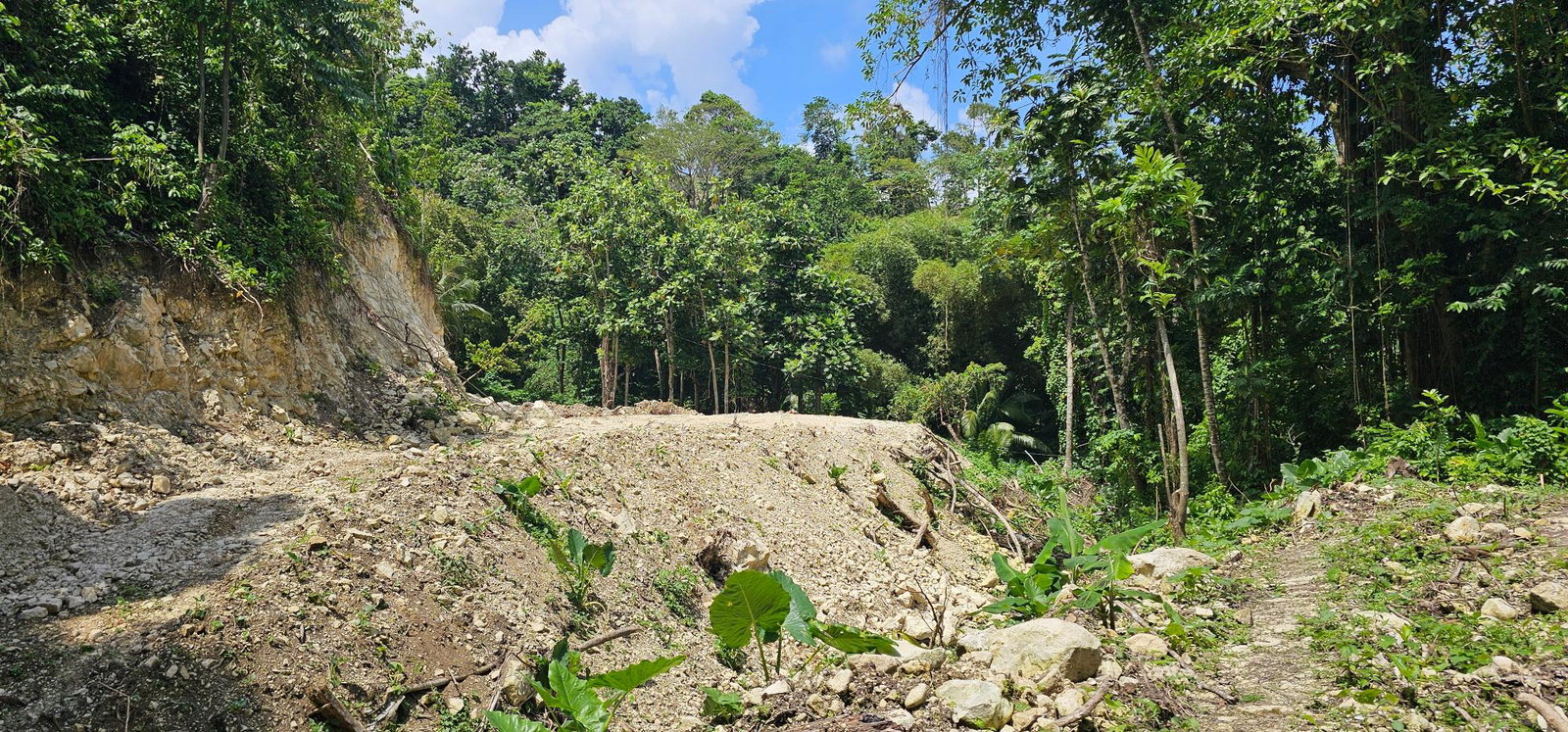 Ninth image of 95 Kildare Portland in Buff Bay, Portland, Jamaica - property is For Sale