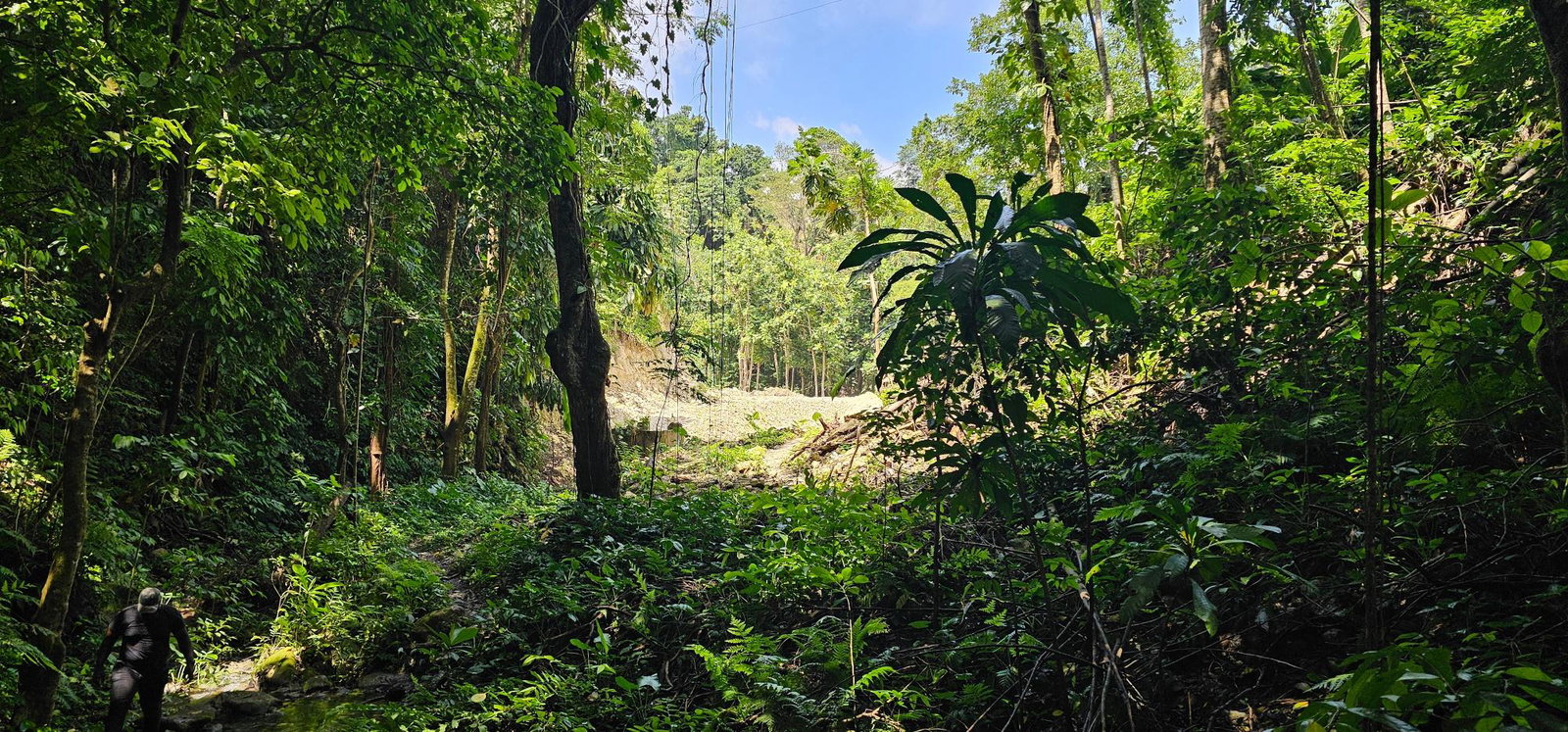 Tenth image of 95 Kildare Portland in Buff Bay, Portland, Jamaica - property is For Sale