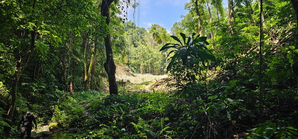 Tenth image of 95 Kildare Portland in Buff Bay, Portland, Jamaica - property is For Sale