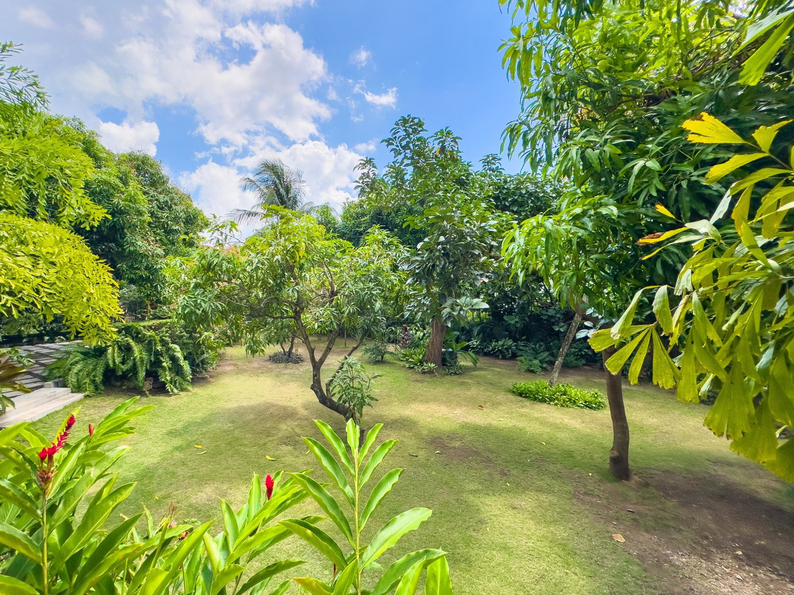 Twenty-Second image of 17 Fairlane Avenue in Kingston 6, St. Andrew, Jamaica - property is For Sale