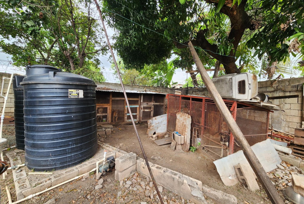 Twenty-Third image of 2 Mapleview Road in Kingston 11, St. Andrew, Jamaica - property is For Sale