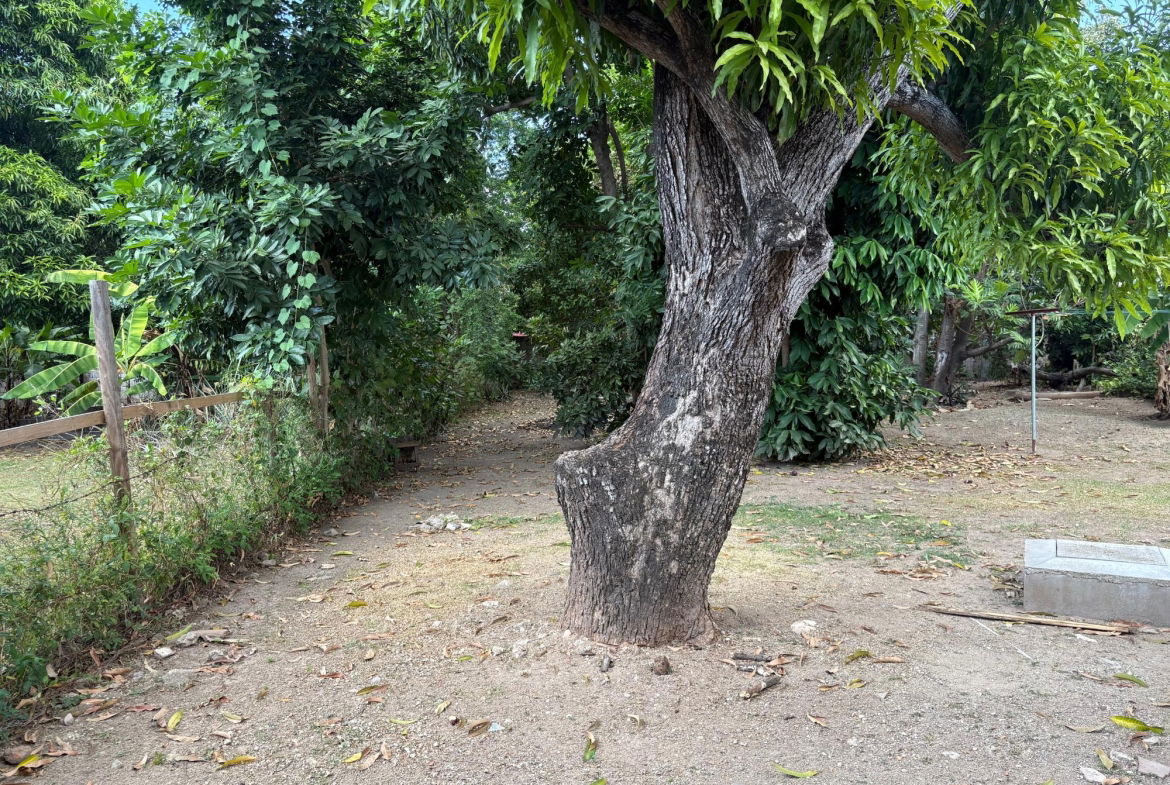 Thirteenth image of C-30 Sunrise Crescent in Kingston 19, St. Andrew, Jamaica - property is For Rent