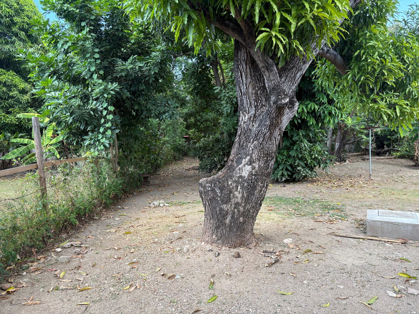 Thirteenth image of C-30 Sunrise Crescent in Kingston 19, St. Andrew, Jamaica - property is For Rent