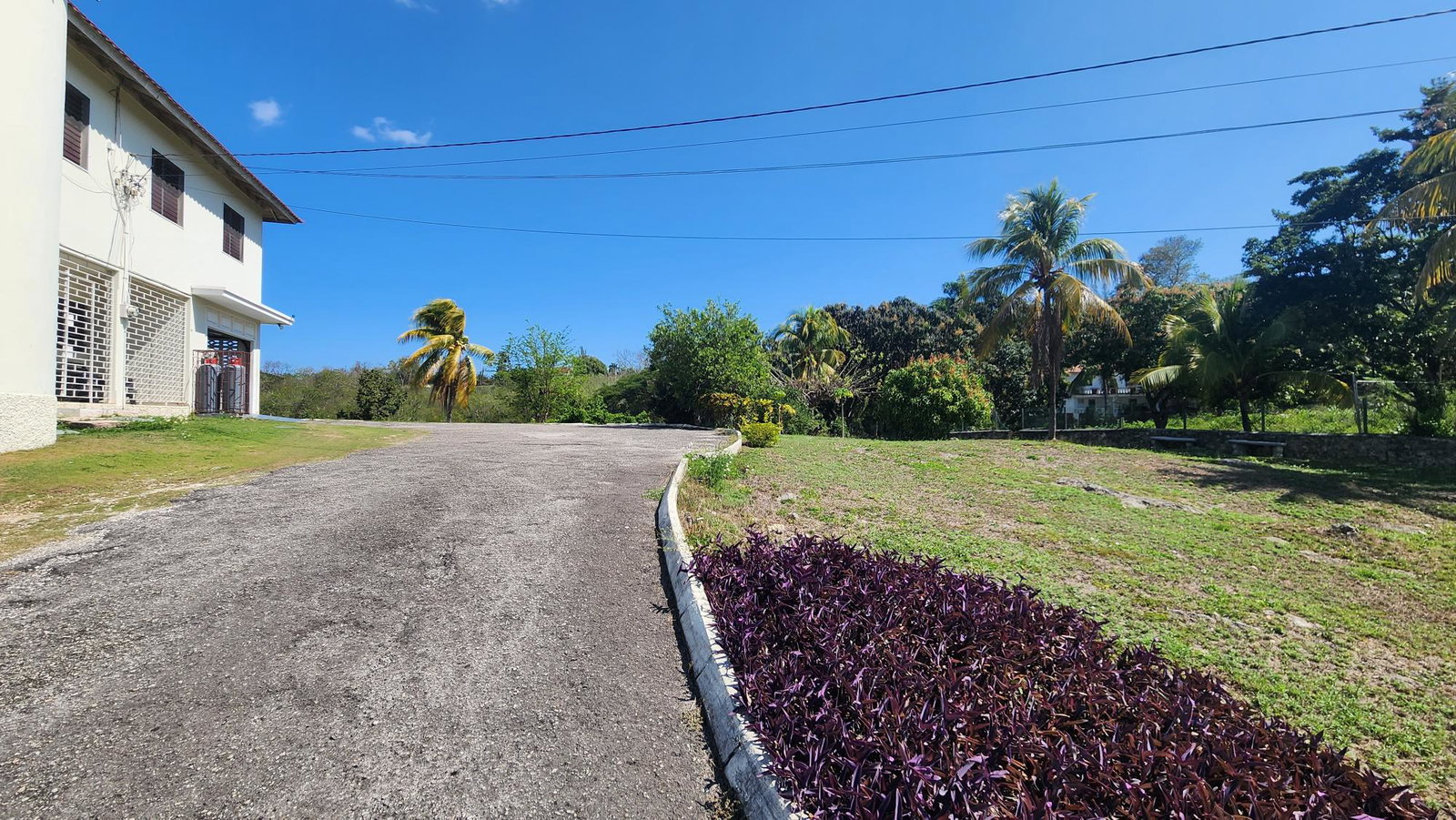 Twenty-Fourth image of 16 Morningside Drive in Rosemount, St. James, Jamaica - property is For Rent