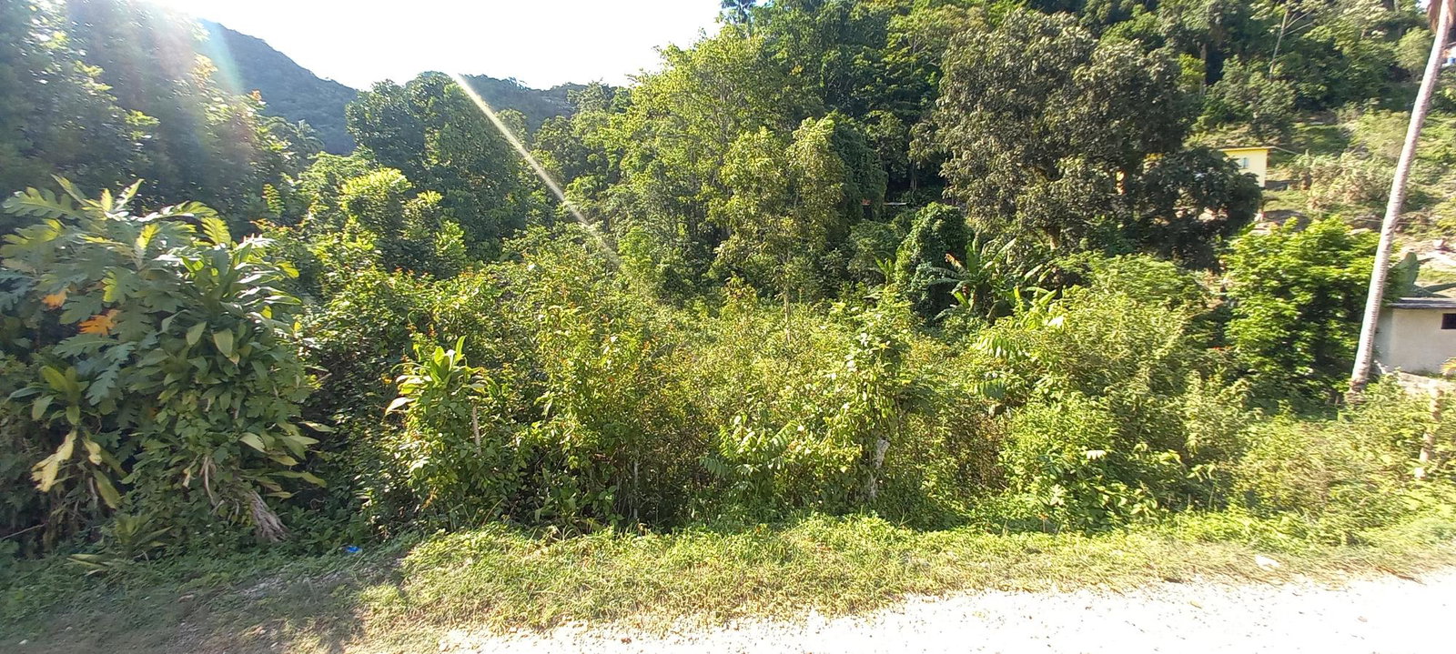 Second image of Alderton in Alderton, St. Ann, Jamaica - property is For Sale