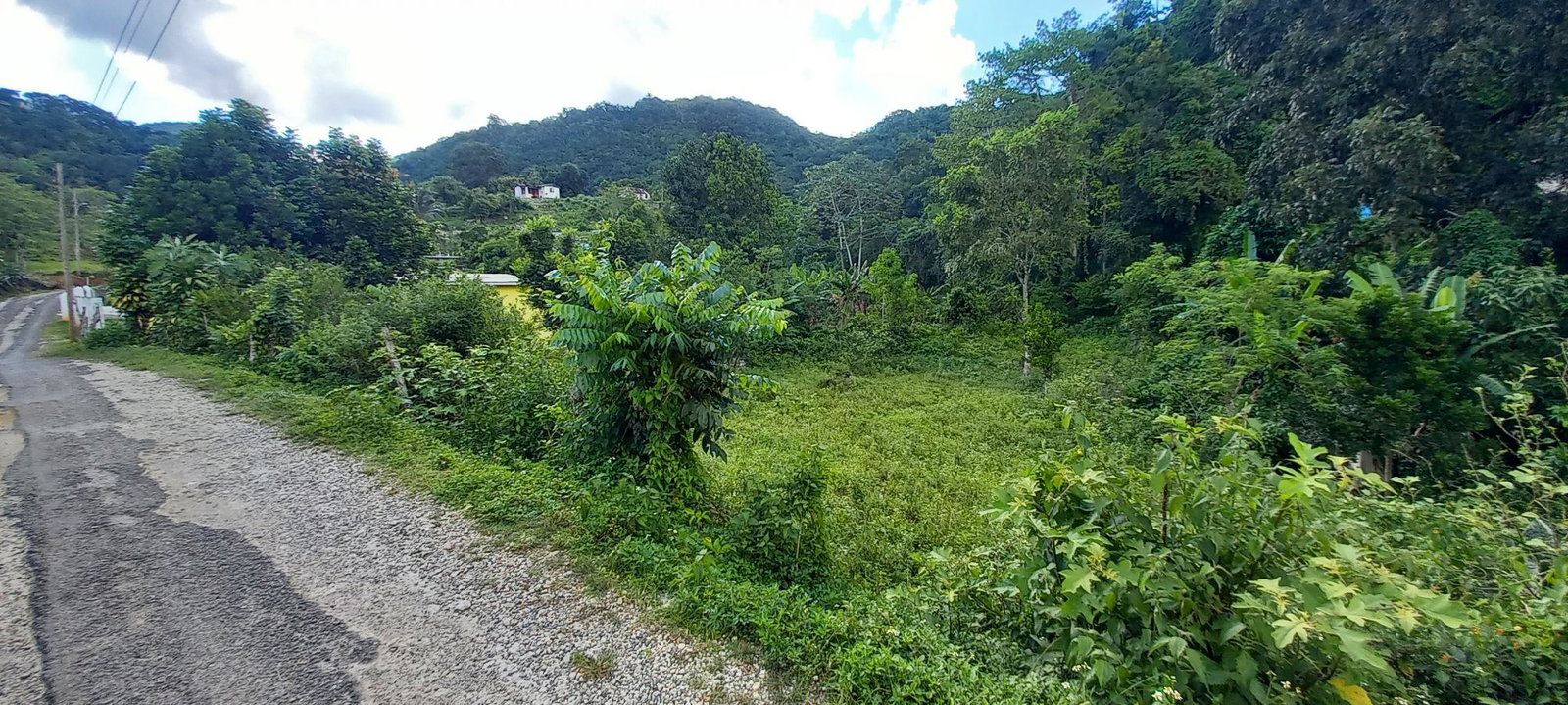 Eleventh image of Alderton in Alderton, St. Ann, Jamaica - property is For Sale