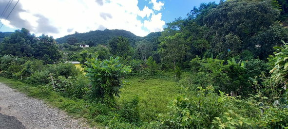 Twelfth image of Alderton in Alderton, St. Ann, Jamaica - property is For Sale