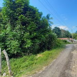 First image of Alderton in Alderton, St. Ann, Jamaica - property is For Sale