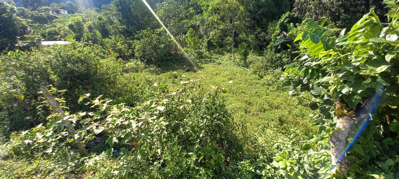 Third image of Alderton in Alderton, St. Ann, Jamaica - property is For Sale