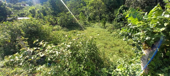 Third image of Alderton in Alderton, St. Ann, Jamaica - property is For Sale