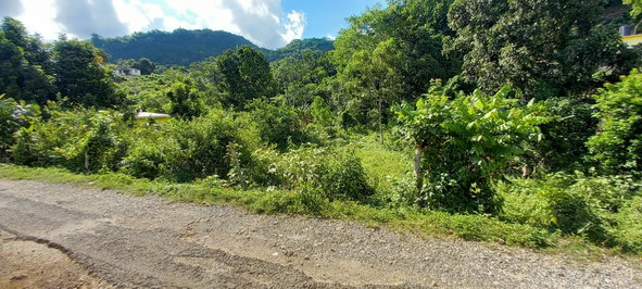 Fourth image of Alderton in Alderton, St. Ann, Jamaica - property is For Sale