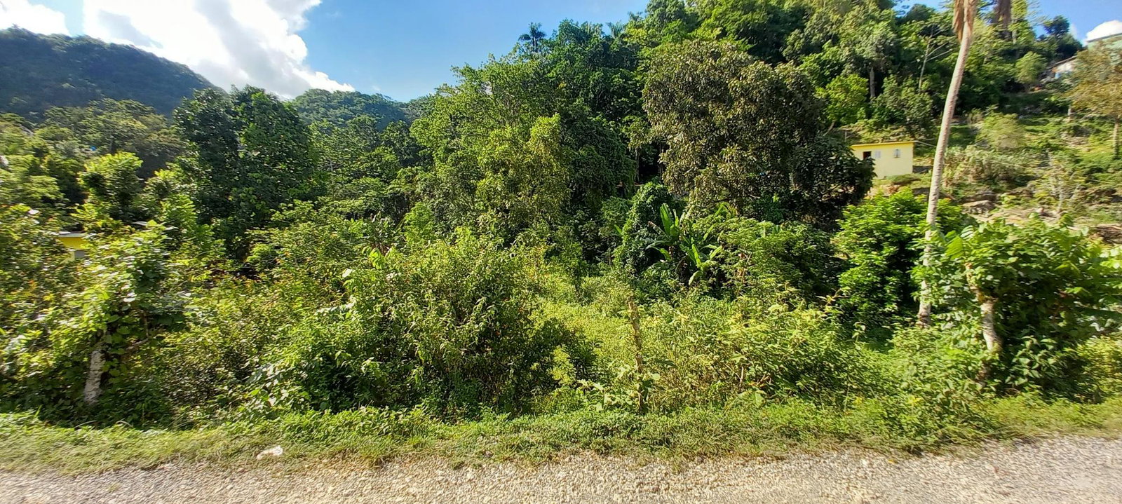Fifth image of Alderton in Alderton, St. Ann, Jamaica - property is For Sale