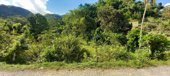 Fifth image of Alderton in Alderton, St. Ann, Jamaica - property is For Sale