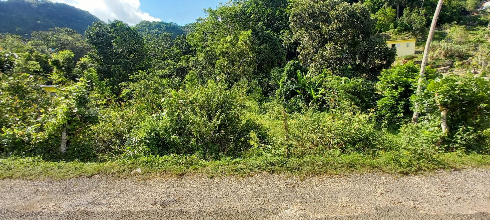 Sixth image of Alderton in Alderton, St. Ann, Jamaica - property is For Sale