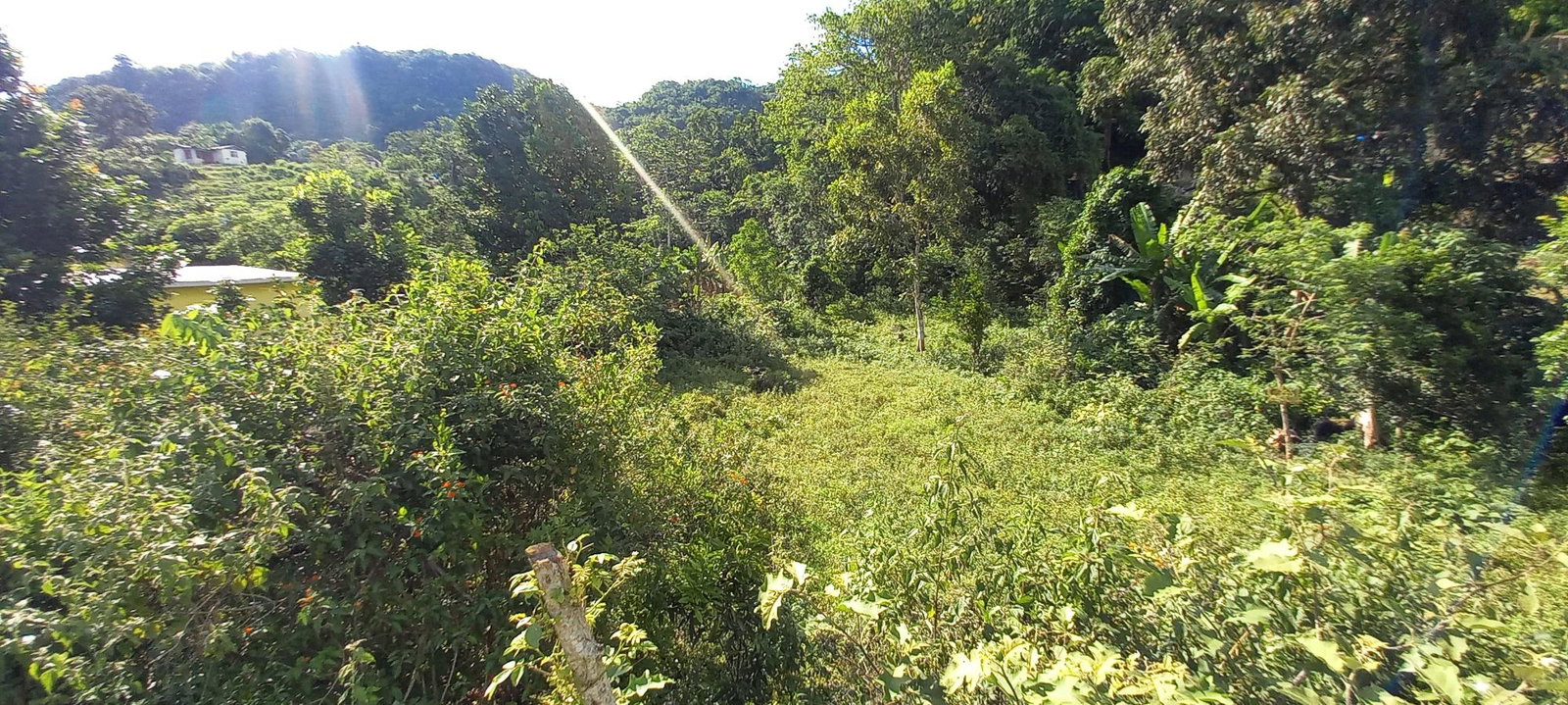 Seventh image of Alderton in Alderton, St. Ann, Jamaica - property is For Sale