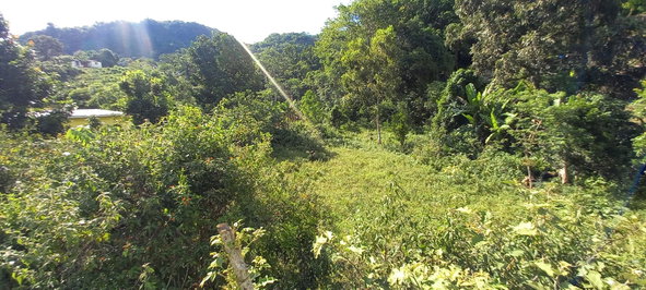 Seventh image of Alderton in Alderton, St. Ann, Jamaica - property is For Sale