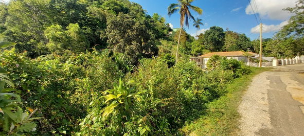 Eighth image of Alderton in Alderton, St. Ann, Jamaica - property is For Sale