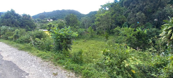 Tenth image of Alderton in Alderton, St. Ann, Jamaica - property is For Sale