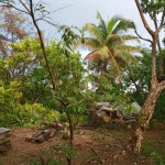 First image of Schoolfield, Prosper in Prosper, St. Elizabeth, Jamaica - property is For Sale